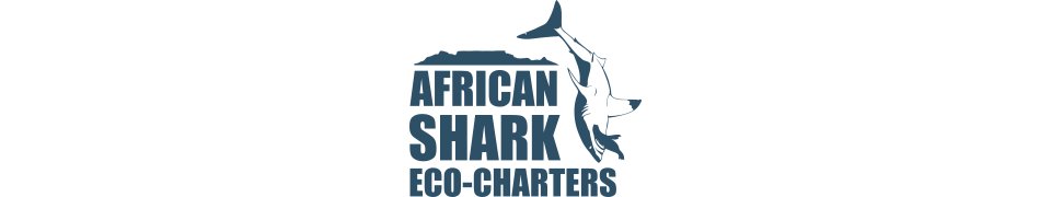 Shark Diving Cape Town