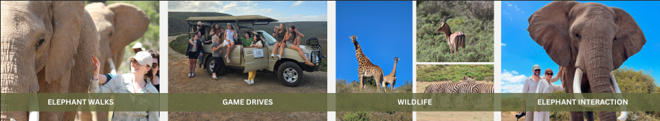 Indalu Game Reserve
