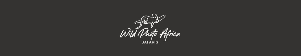 Wild Photo Africa