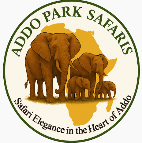Addo Park Safaris